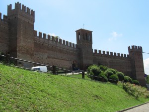 IMG_6478