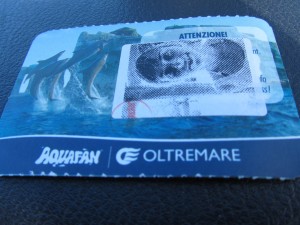 Билет в аквапарк Aquafan